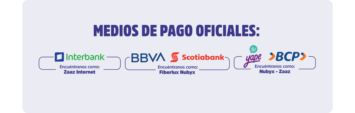 Medios de pago oficiales